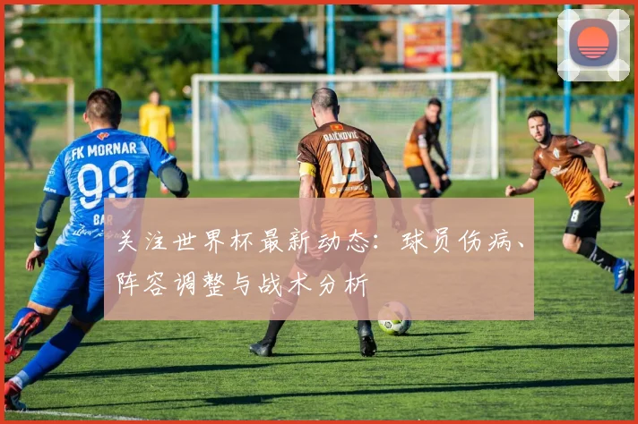 关注世界杯最新动态:球员伤病、阵容调整与战术分析