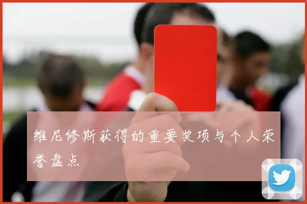 维尼修斯获得的重要奖项与个人荣誉盘点