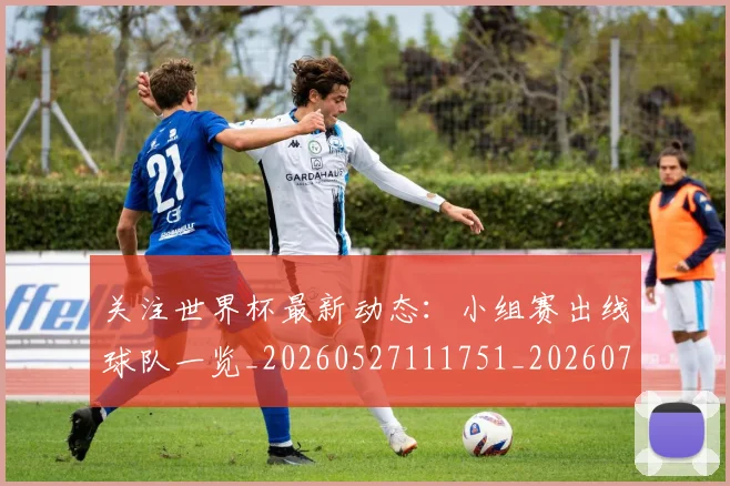 关注世界杯最新动态：小组赛出线球队一览_20260527111751_20260704165544